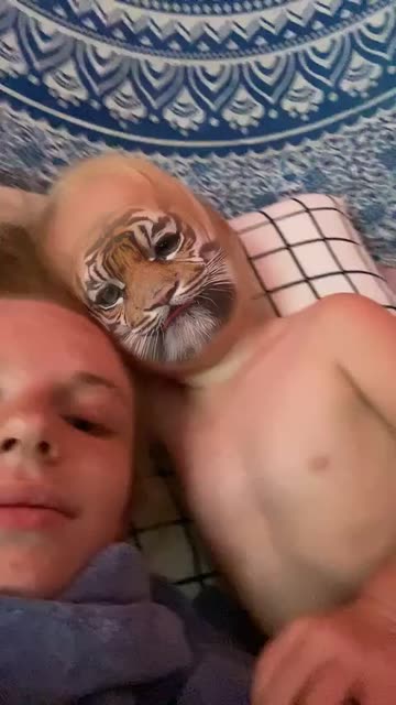 Preview for a Spotlight video that uses the Tiger Lens