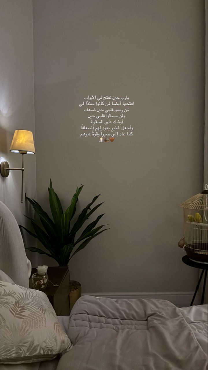 محتوى سناب شات لـ COACH GHAND ♡ ‏