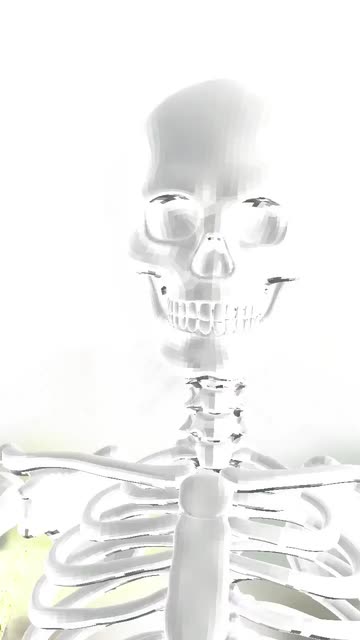 Preview for a Spotlight video that uses the Skeleton Body Lens