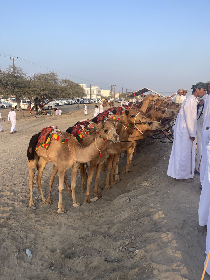 محتوى سناب شات لـ 𝕄𝕆ℍ𝔸𝕄𝕄𝔼𝔻 🇦🇪