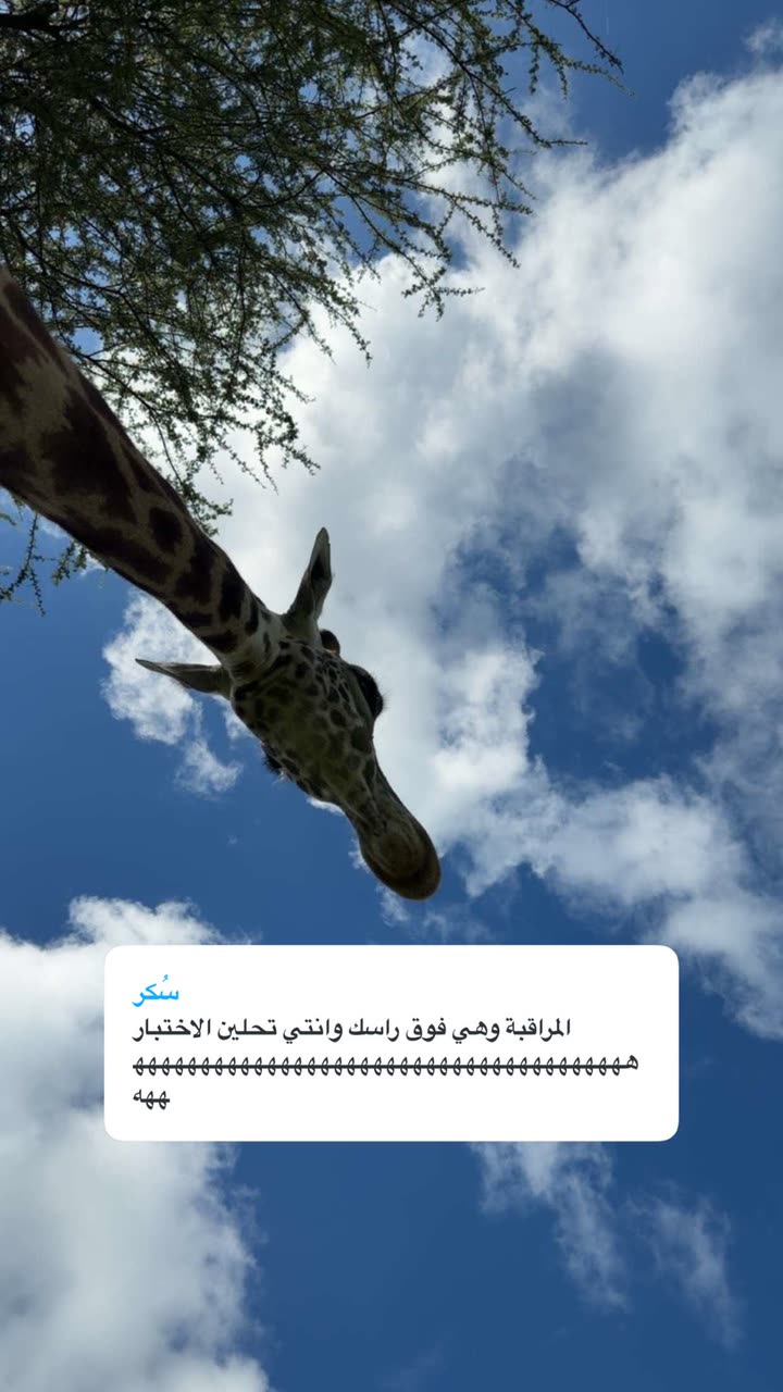 محتوى سناب شات لـ نجلا الودعاني 🧠