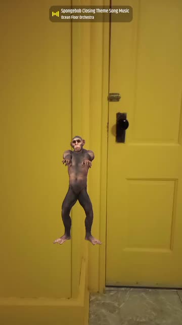 Preview for a Spotlight video that uses the Monkey Dance Lens