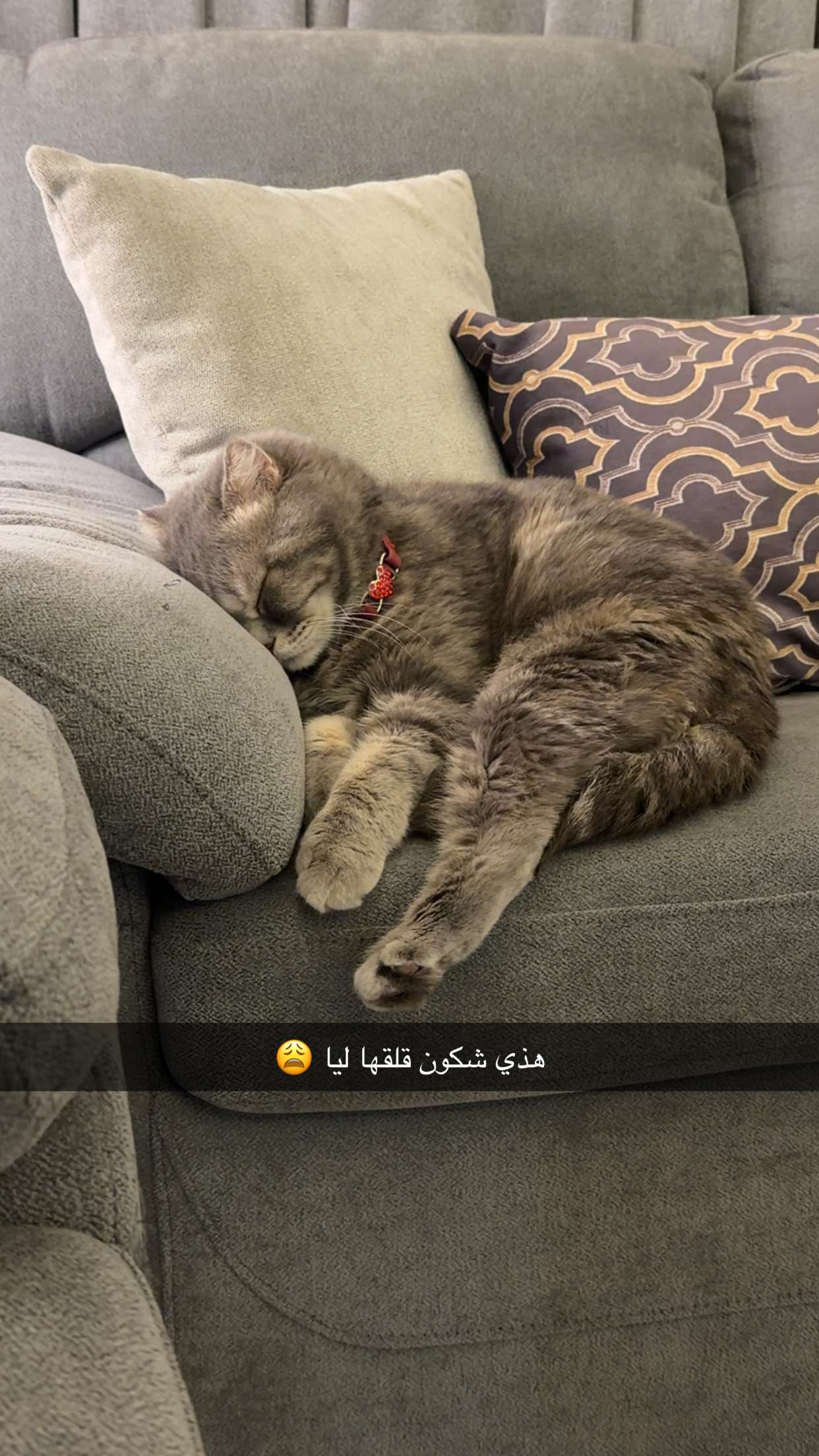محتوى سناب شات لـ S 𝓐 𝓡 𝓐 𝓗 ♌️ 🌟
