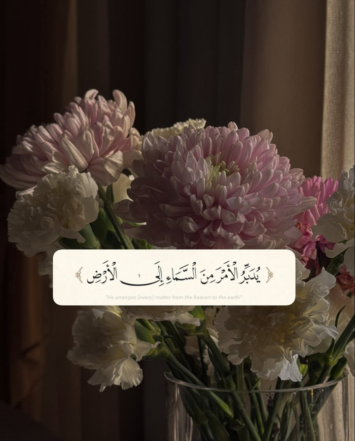 محتوى سناب شات لـ M🪽
