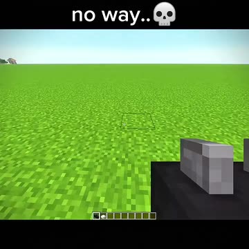 Zvz Zzf