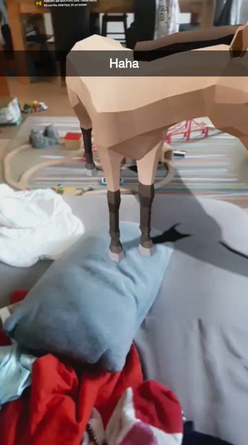 Preview for a Spotlight video that uses the Western Horse Lens