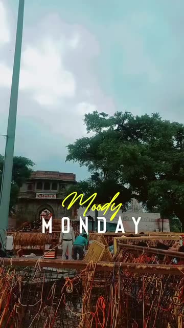 Preview for a Spotlight video that uses the Saturday Lens
