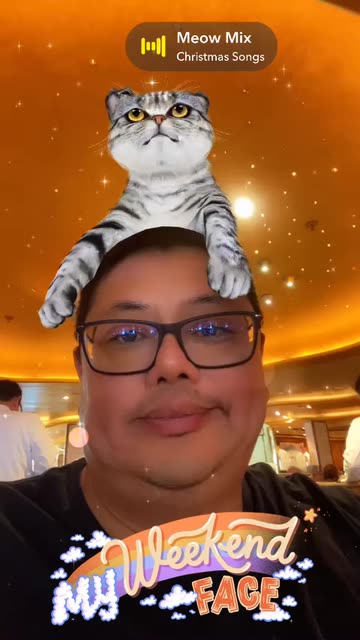 Preview for a Spotlight video that uses the Cute Cat Lens