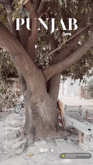 Preview for a Spotlight video that uses the Punjab Lens