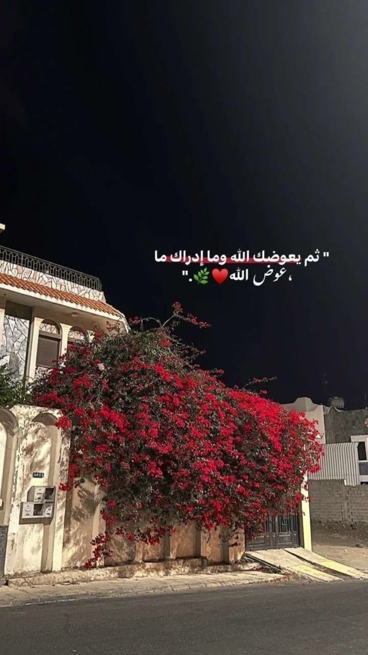 محتوى سناب شات لـ Mohammad Amr