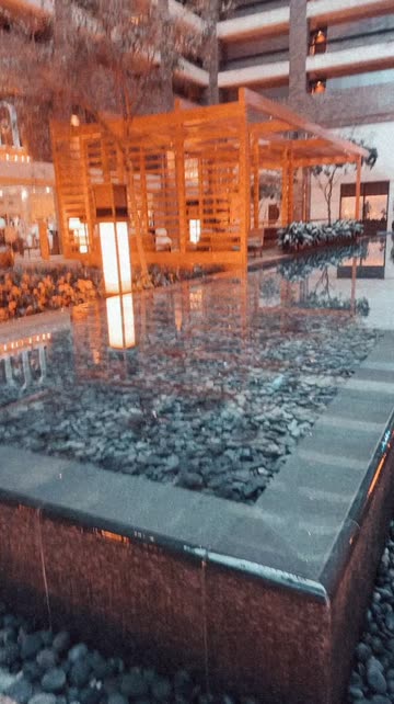 Preview for a Spotlight video that uses the TRIP Lens