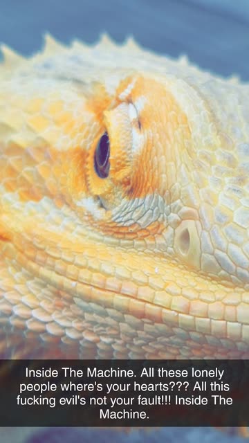 how¡tzer