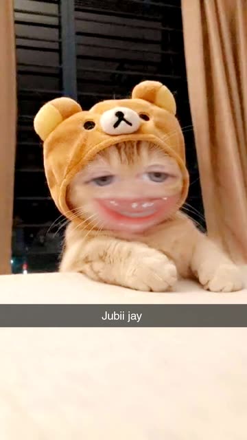 Preview for a Spotlight video that uses the Angry Cat Lens