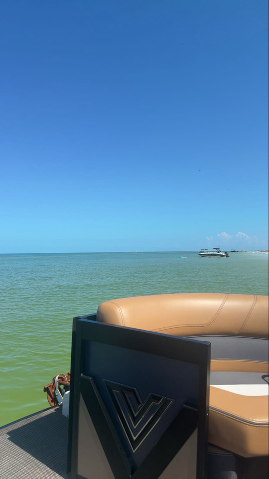 lillidbar3