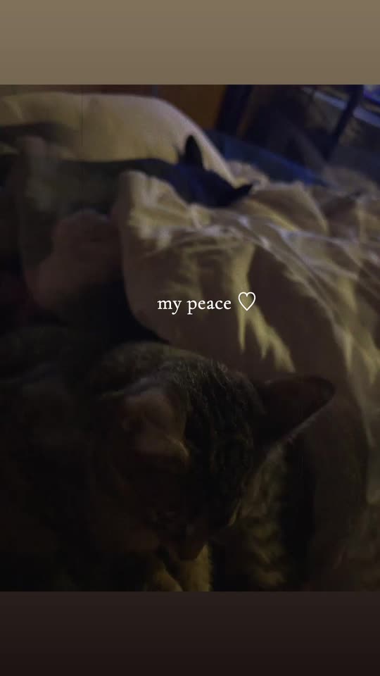 xo.bvnniieee