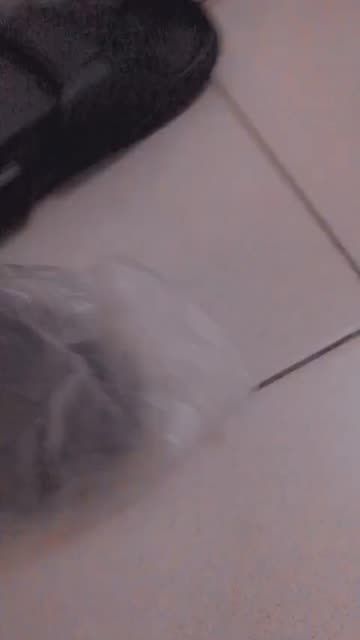 Preview for a Spotlight video that uses the SILVER Lens