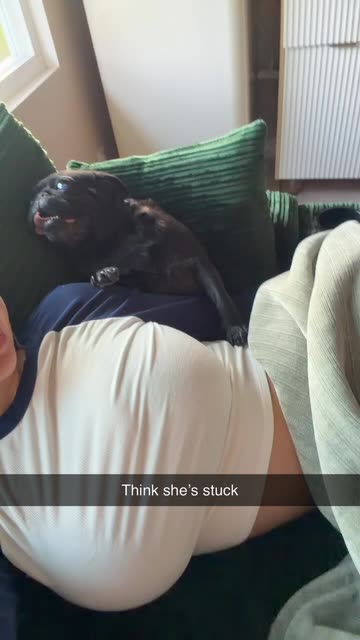 Riley Halstead Explains How to Say 'A Baby Seal Pushed Me Yesterday' in ...
