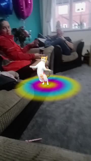 Preview for a Spotlight video that uses the Street Cat Dance Lens
