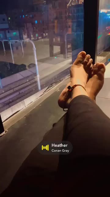 Preview for a Spotlight video that uses the Sunflower Lens