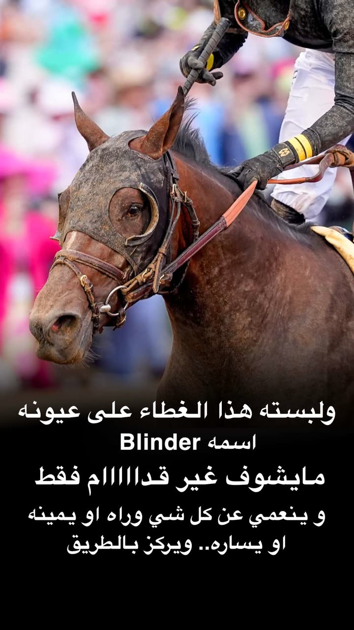 محتوى سناب شات لـ د. هند عنايه وأفكار 🎯