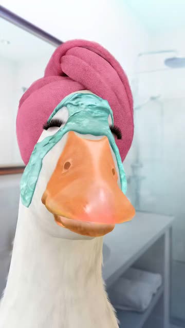 Preview for a Spotlight video that uses the Relaxed Duck Lens