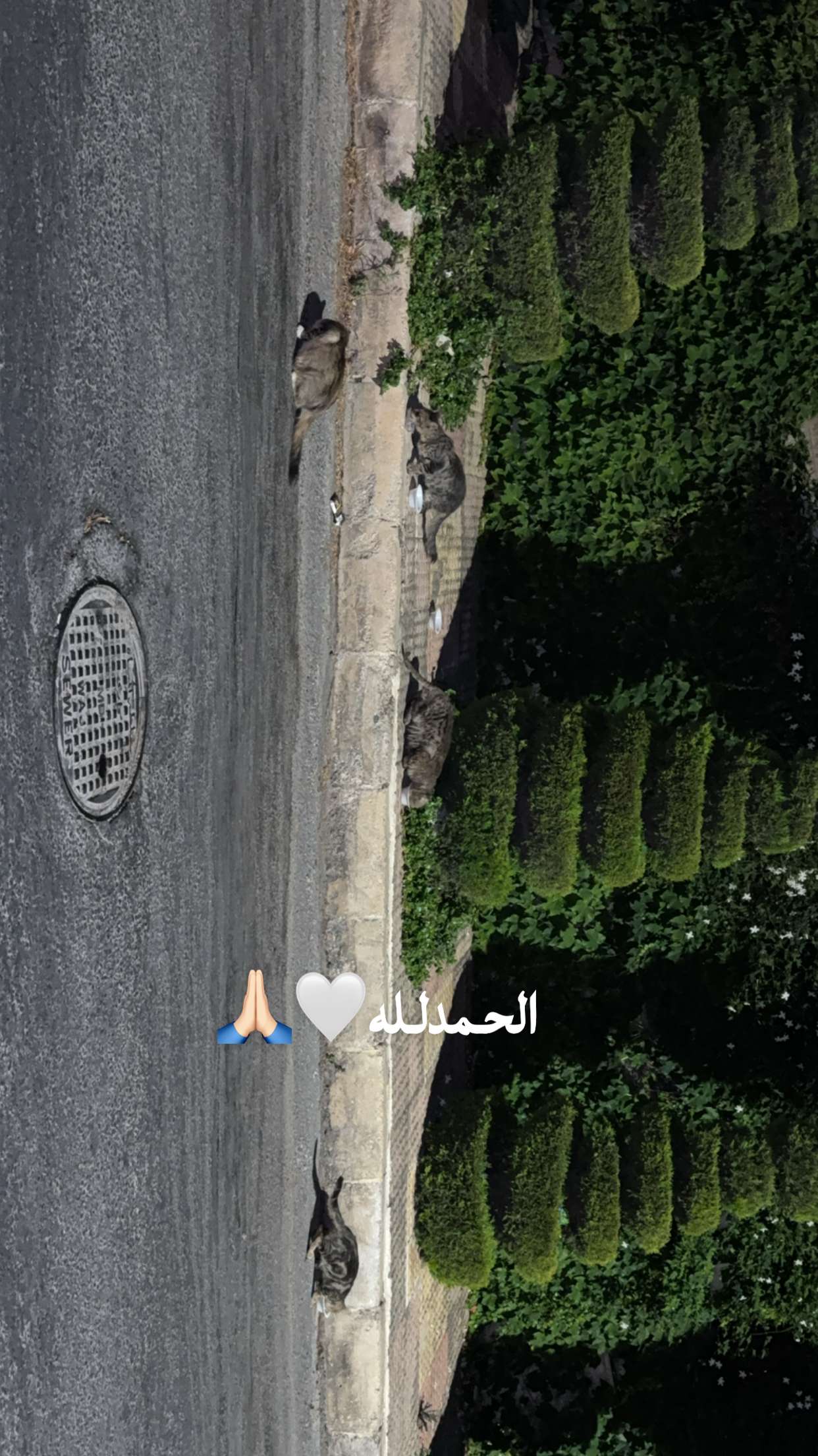 محتوى سناب شات لـ دموع 🤍🇯🇴
