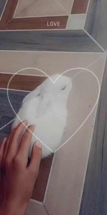 Preview for a Spotlight video that uses the Heart Frame Lens