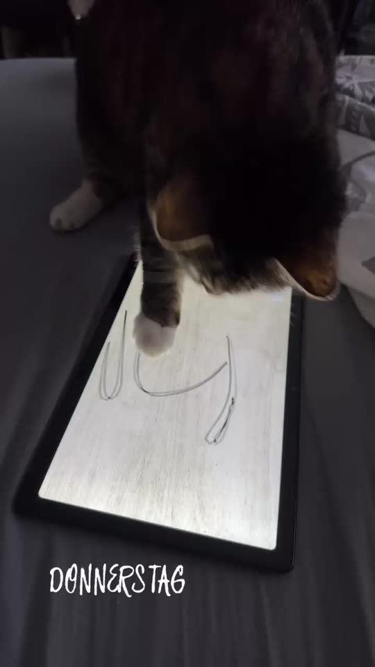 txsha_09