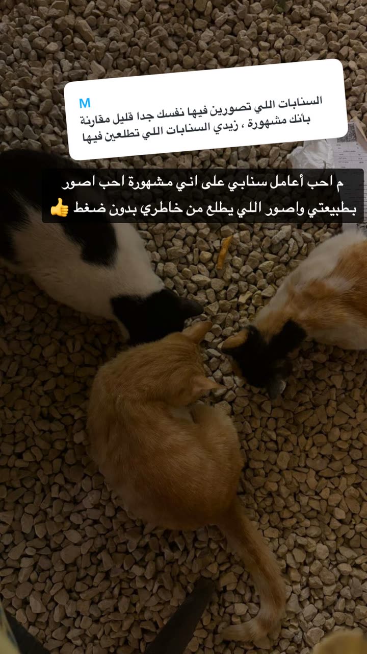 قصة سناب شات للحساب wadjda1 رقم 355