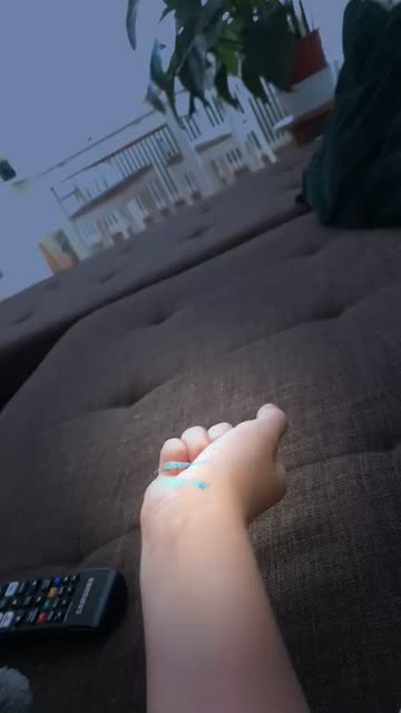 Preview for a Spotlight video that uses the Little Garden Lens