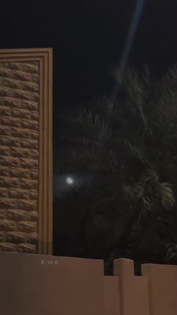 Preview for a Spotlight video that uses the LowLight ps Lens