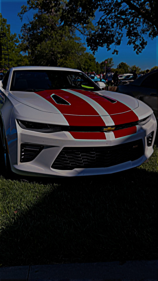stingray05