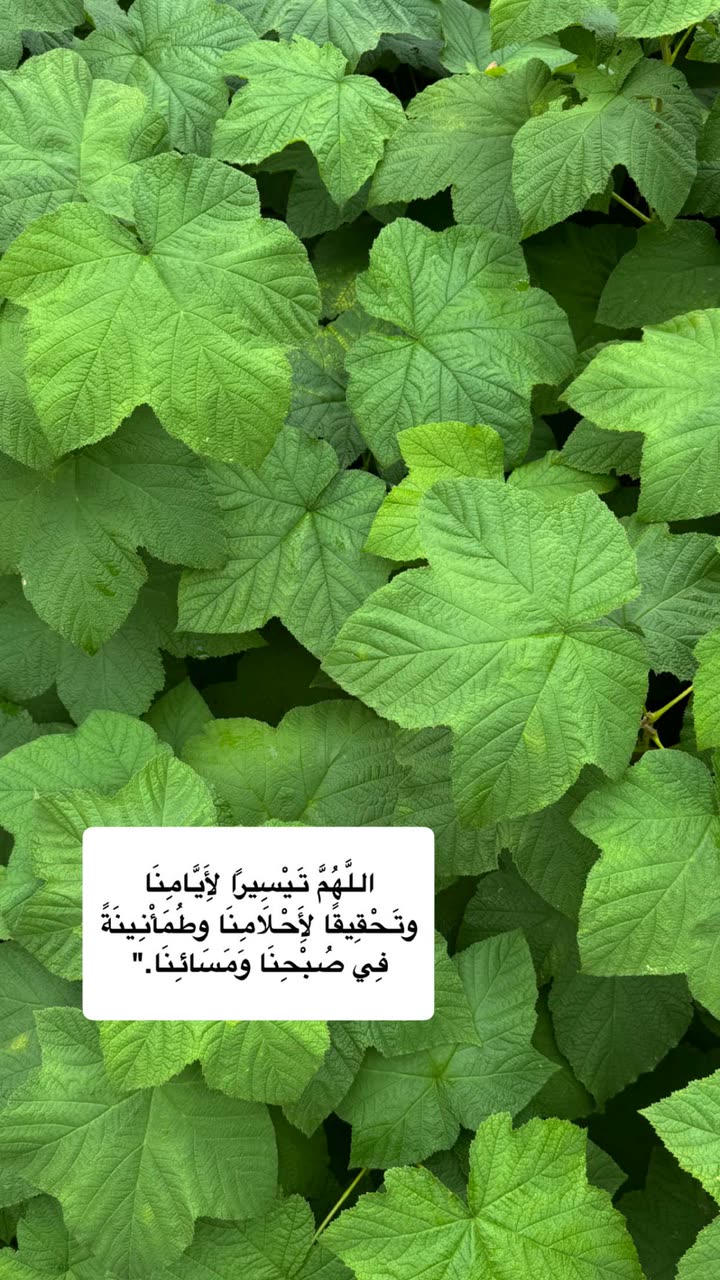 محتوى سناب شات لـ عفرا السويدي 🦋
