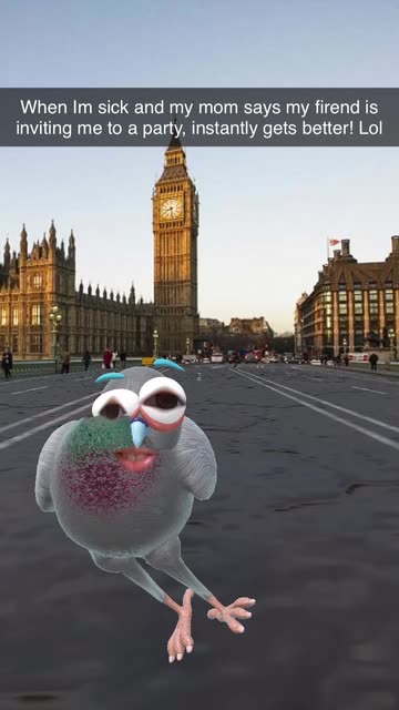 Preview for a Spotlight video that uses the Pigeon of London Lens