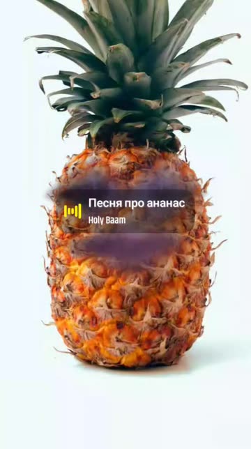 Preview for a Spotlight video that uses the PINEAPPLE Lens