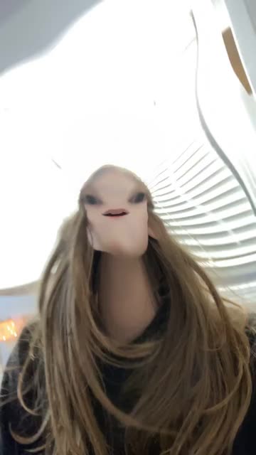 Preview for a Spotlight video that uses the jelly bean Lens