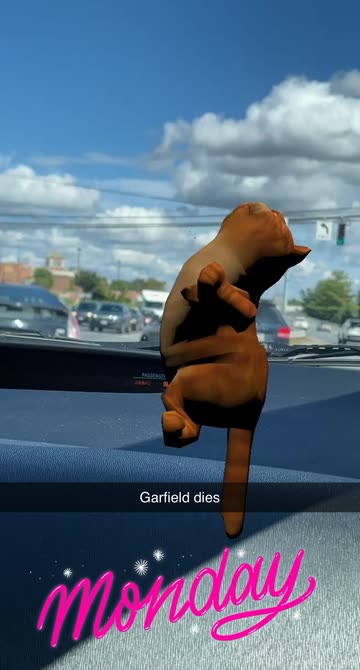 Preview for a Spotlight video that uses the Dancing Garfield Lens