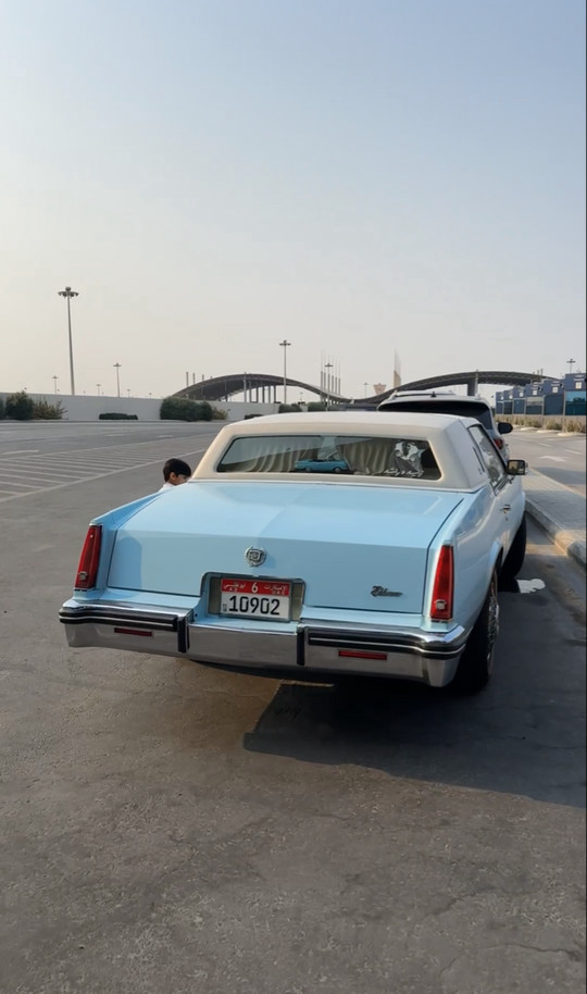 hsm600