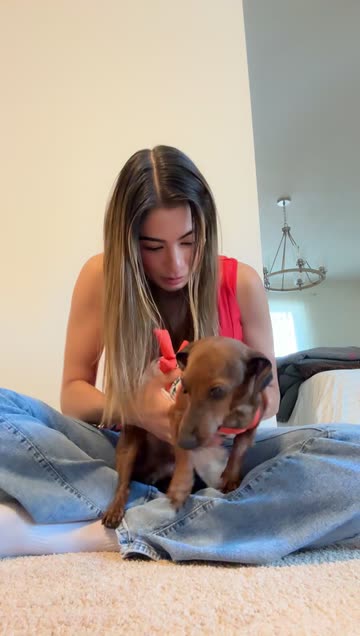 ariannagomezy