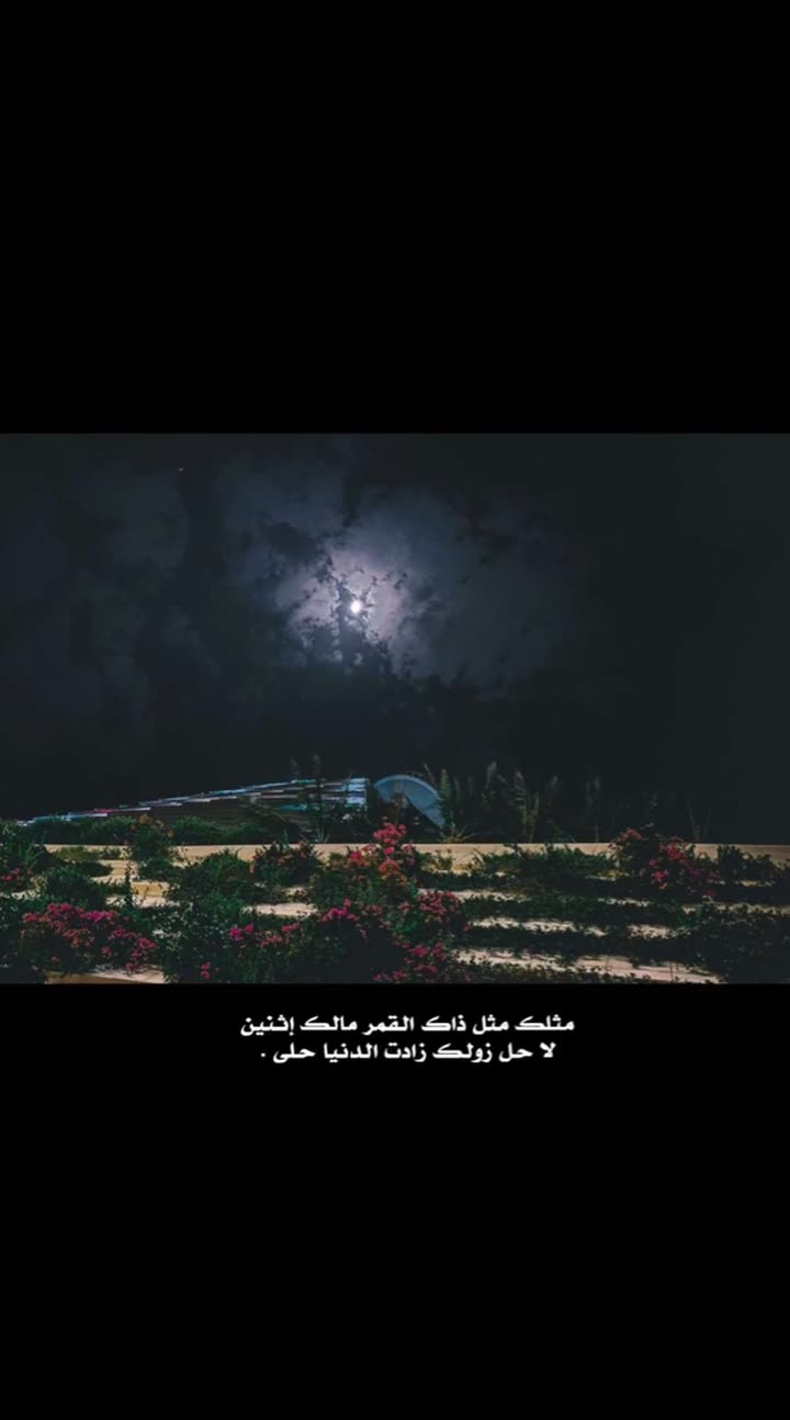 محتوى سناب شات لـ ☤