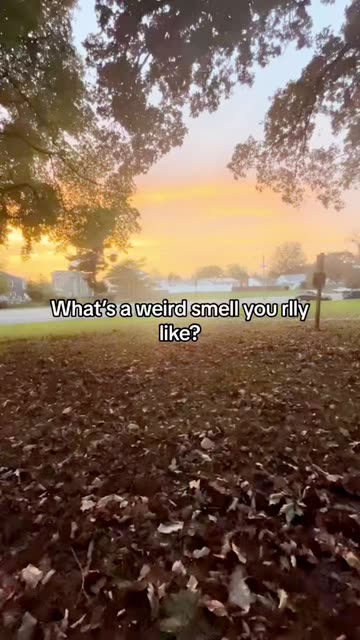 Spotlight content by a Snapchat user