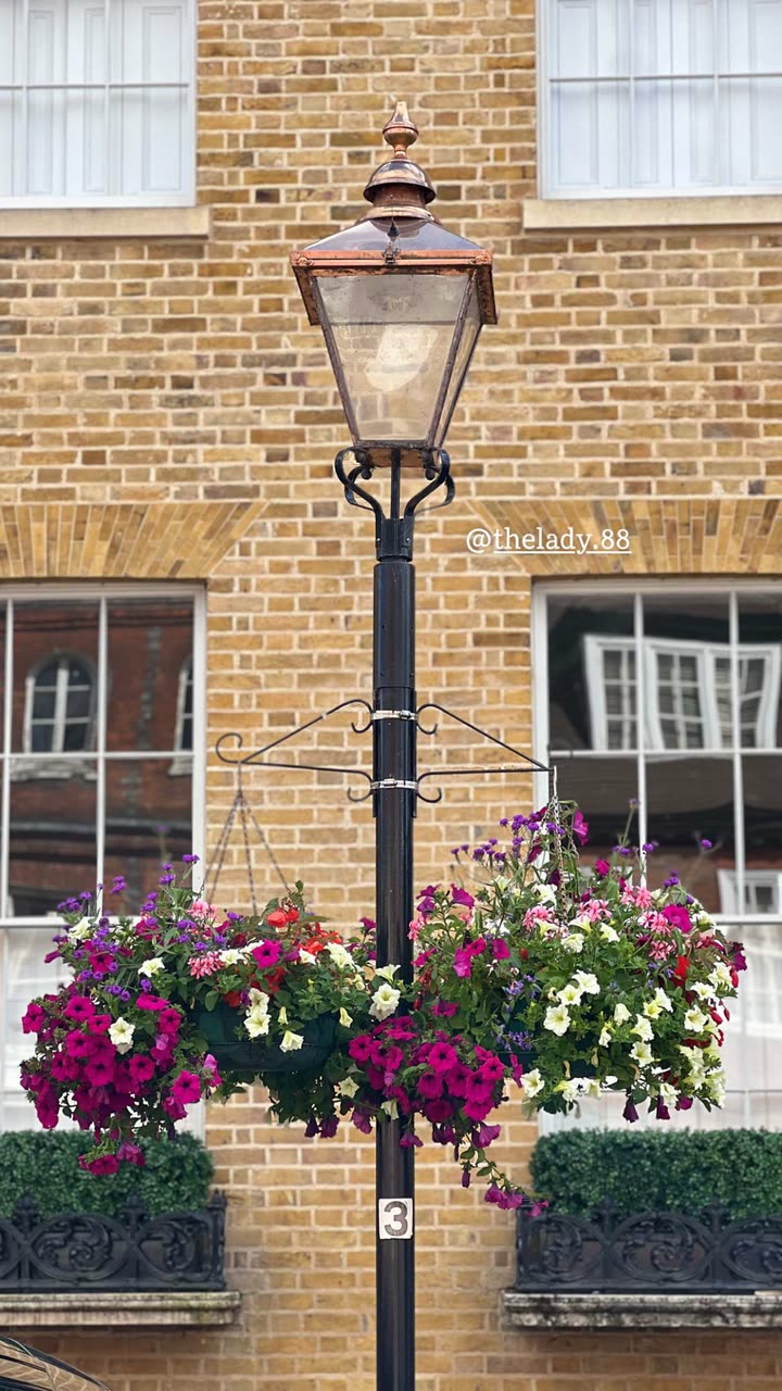 محتوى سناب شات لـ Thelady_ London🇬🇧🕊️