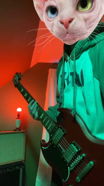 Preview for a Spotlight video that uses the Sphinx Cat Lens