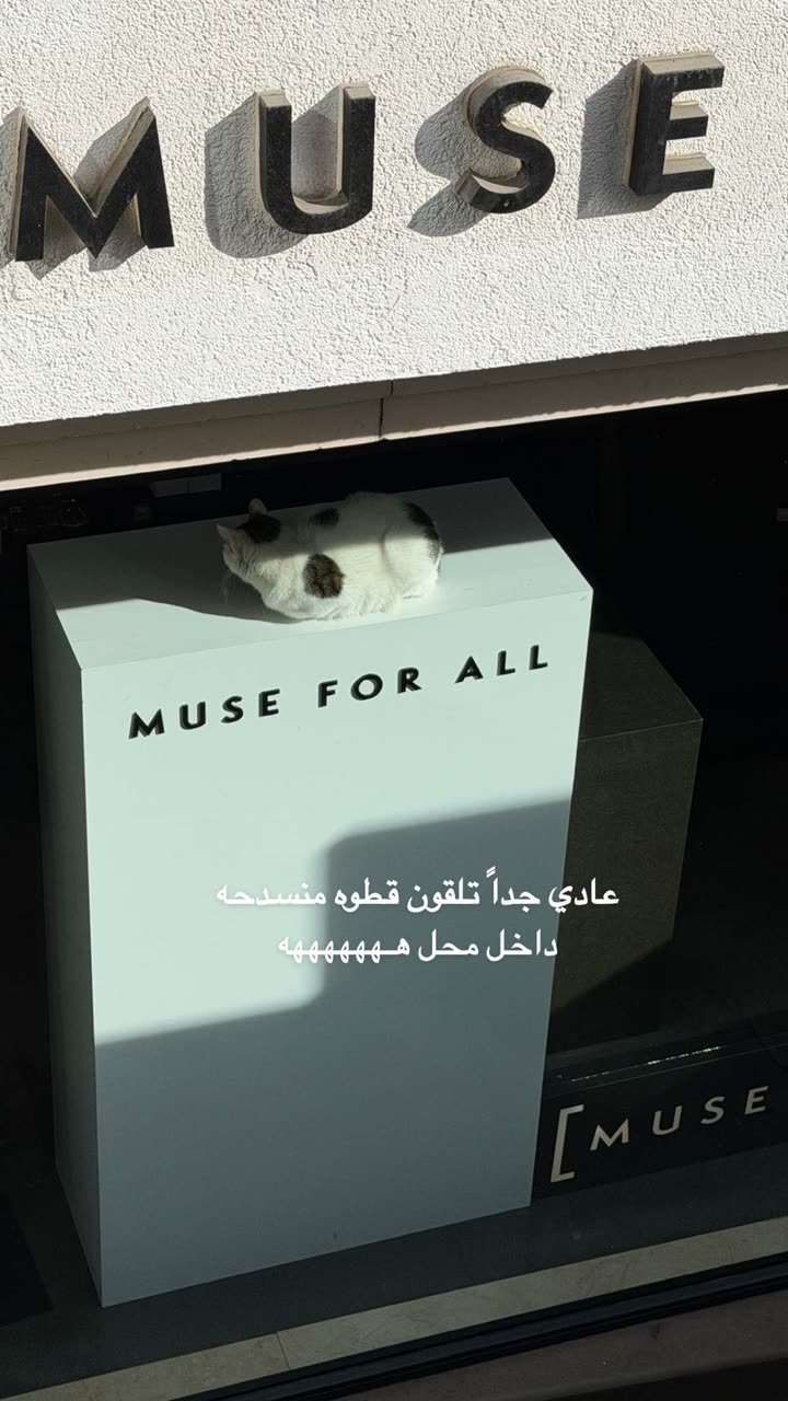 محتوى سناب شات لـ وجدان 🇸🇦