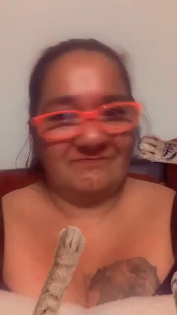 Preview for a Spotlight video that uses the Paws on Face Lens