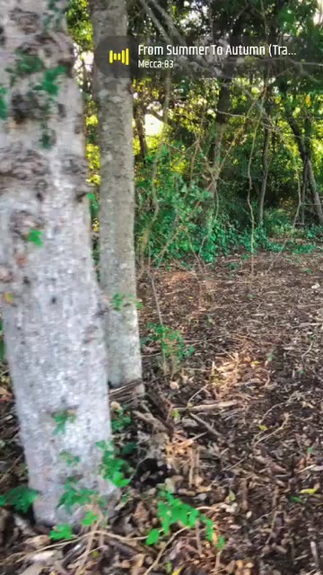 Preview for a Spotlight video that uses the Sail Lens