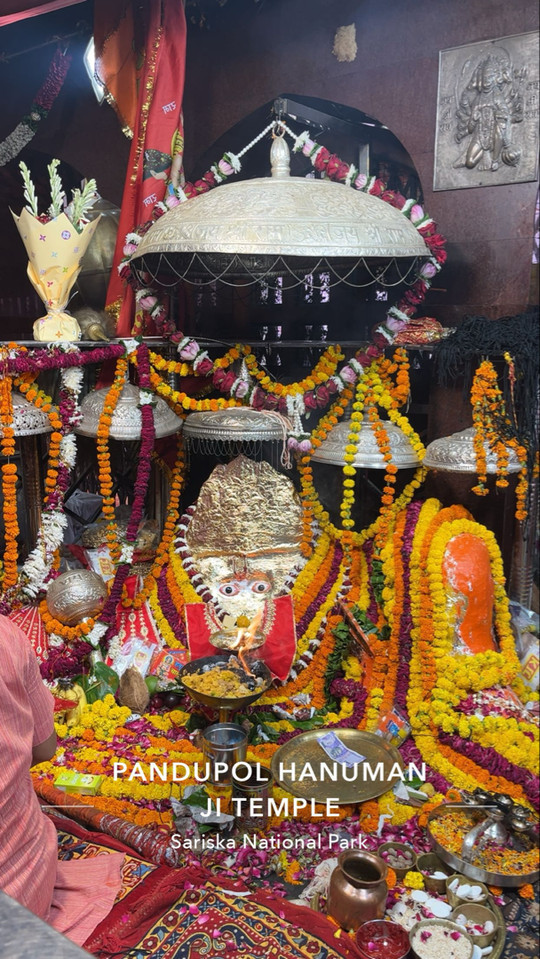parul0525