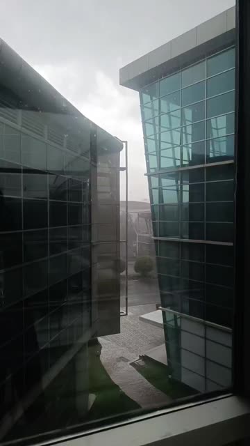 Rebecca Rodrigues