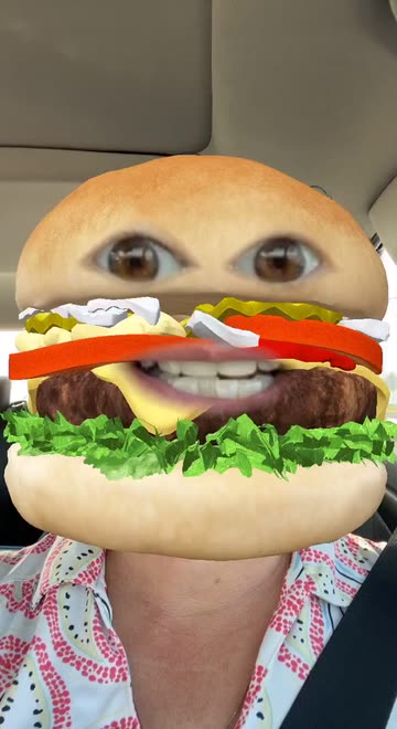Preview for a Spotlight video that uses the Hamburger Face Lens