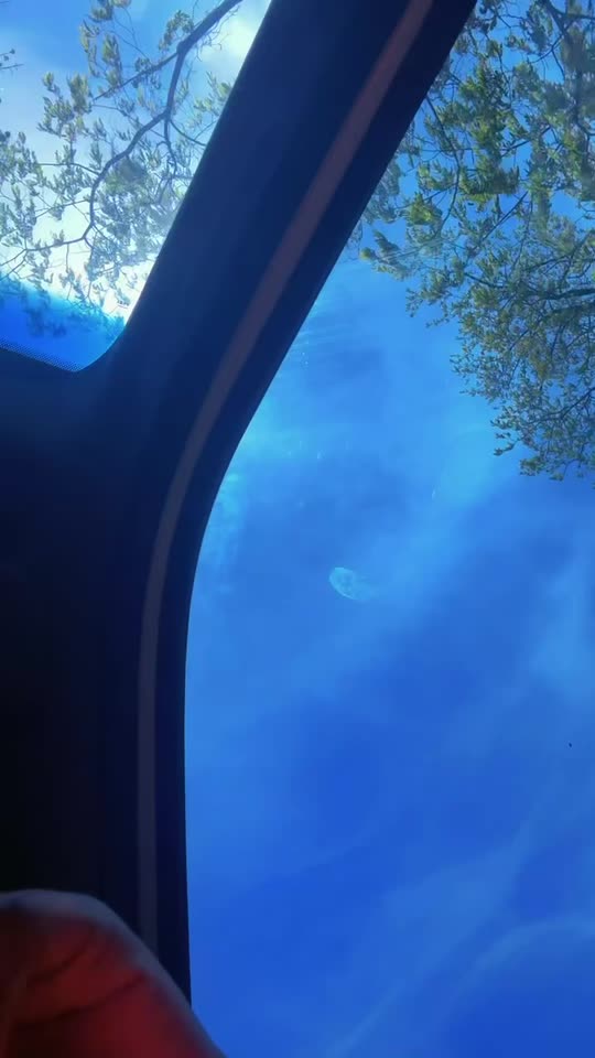 pwgly3